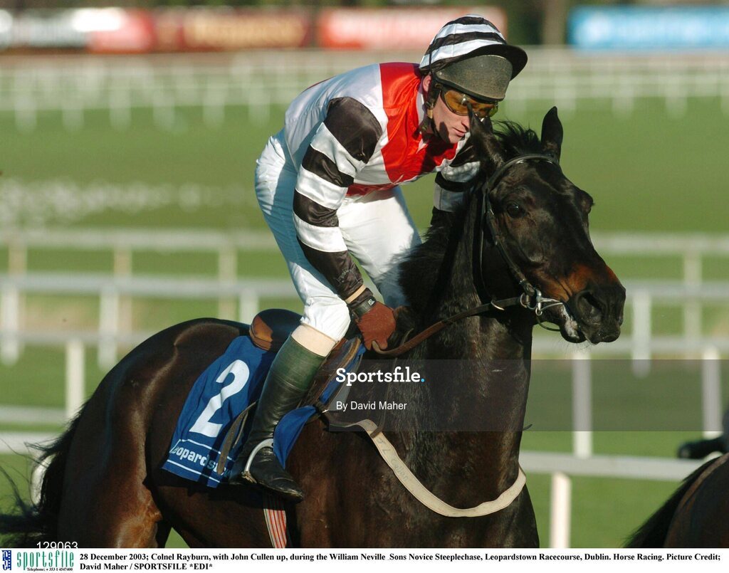 28 December 2003; Colnel Rayburn, with John Cullen up, during the William Neville & Sons Novice Steeplechase, Leopardstown Racecourse, Dublin. Horse Racing. Picture Credit; David Maher / SPORTSFILE *EDI*