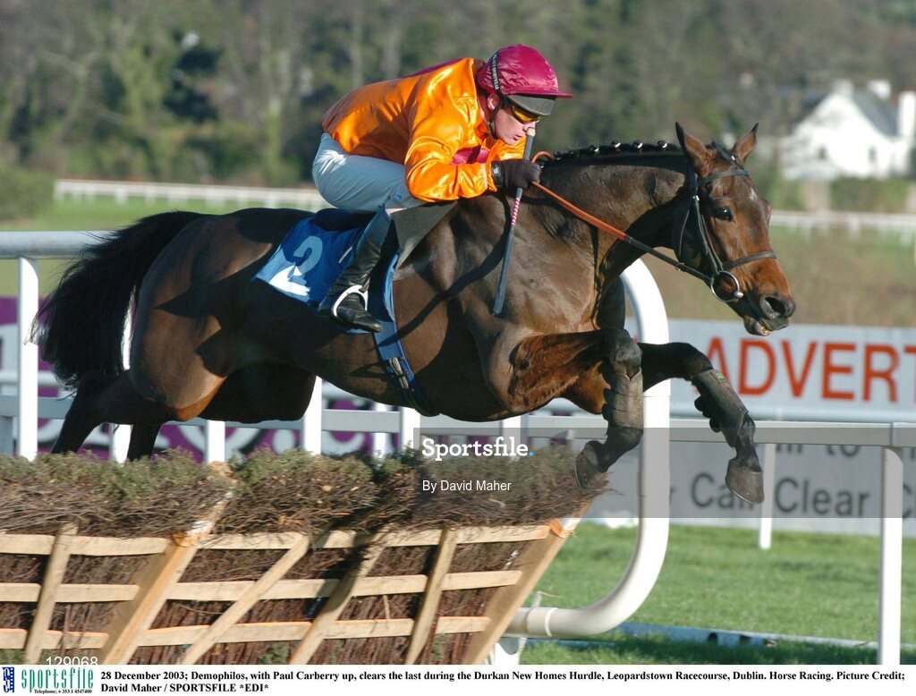 28 December 2003; Demophilos, with Paul Carberry up, clears the last during the Durkan New Homes Hurdle, Leopardstown Racecourse, Dublin. Horse Racing. Picture Credit; David Maher / SPORTSFILE *EDI*