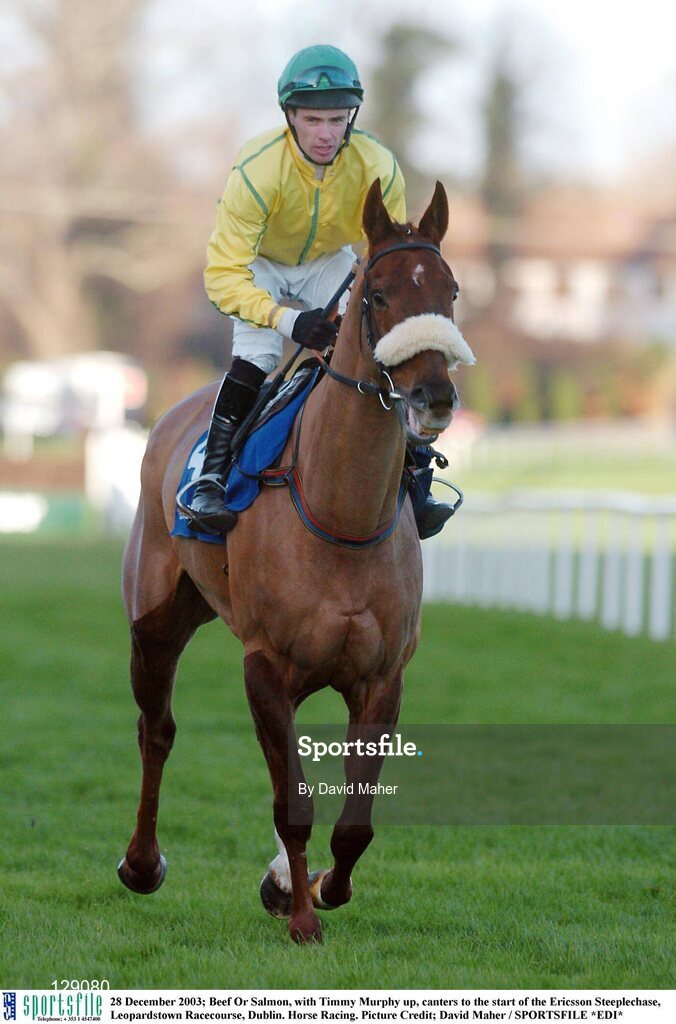 28 December 2003; Beef Or Salmon, with Timmy Murphy up, canters to the start of the Ericsson Steeplechase, Leopardstown Racecourse, Dublin. Horse Racing. Picture Credit; David Maher / SPORTSFILE *EDI*