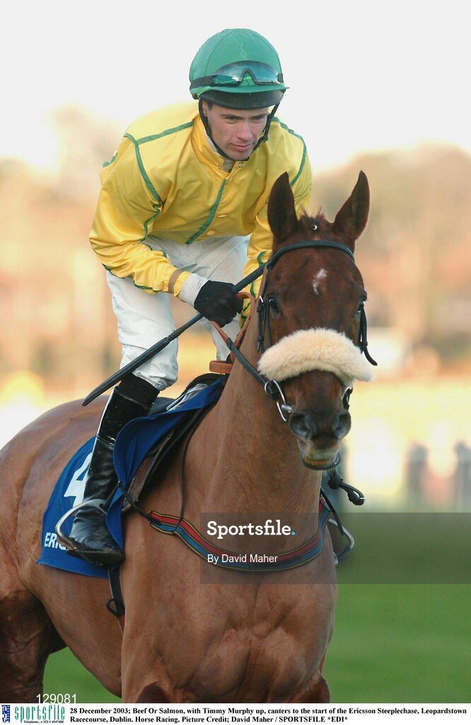 28 December 2003; Beef Or Salmon, with Timmy Murphy up, canters to the start of the Ericsson Steeplechase, Leopardstown Racecourse, Dublin. Horse Racing. Picture Credit; David Maher / SPORTSFILE *EDI*