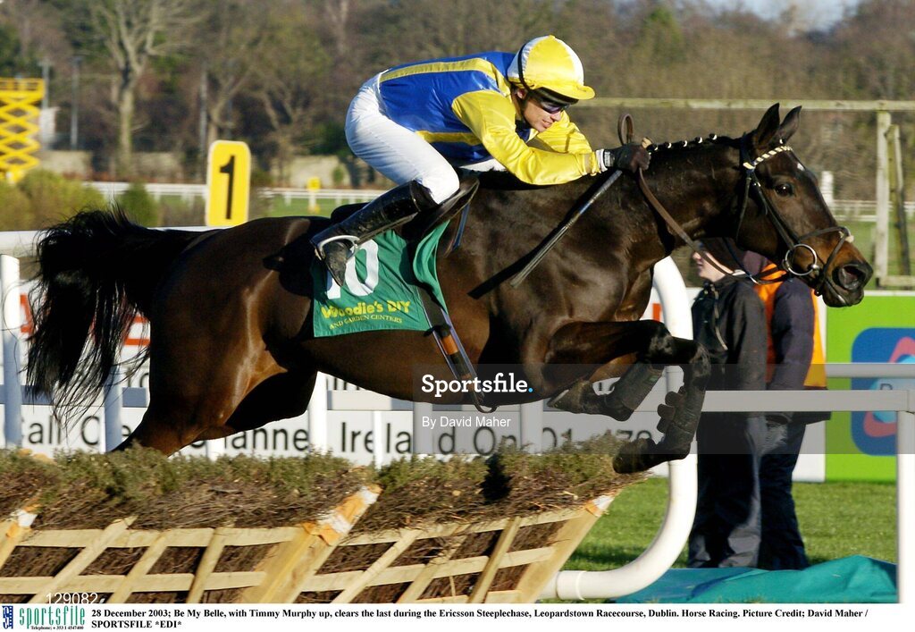 28 December 2003; Be My Belle, with Timmy Murphy up, clears the last during the Ericsson Steeplechase, Leopardstown Racecourse, Dublin. Horse Racing. Picture Credit; David Maher / SPORTSFILE *EDI*