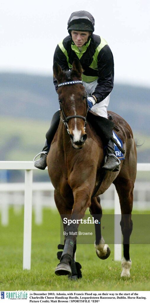 26 December 2003; Adonia, with Francis Flood up, on their way to the start of the Charleville Cheese Handicap Hurdle, Leopardstown Racecourse, Dublin. Horse Racing. Picture Credit; Matt Browne / SPORTSFILE *EDI*