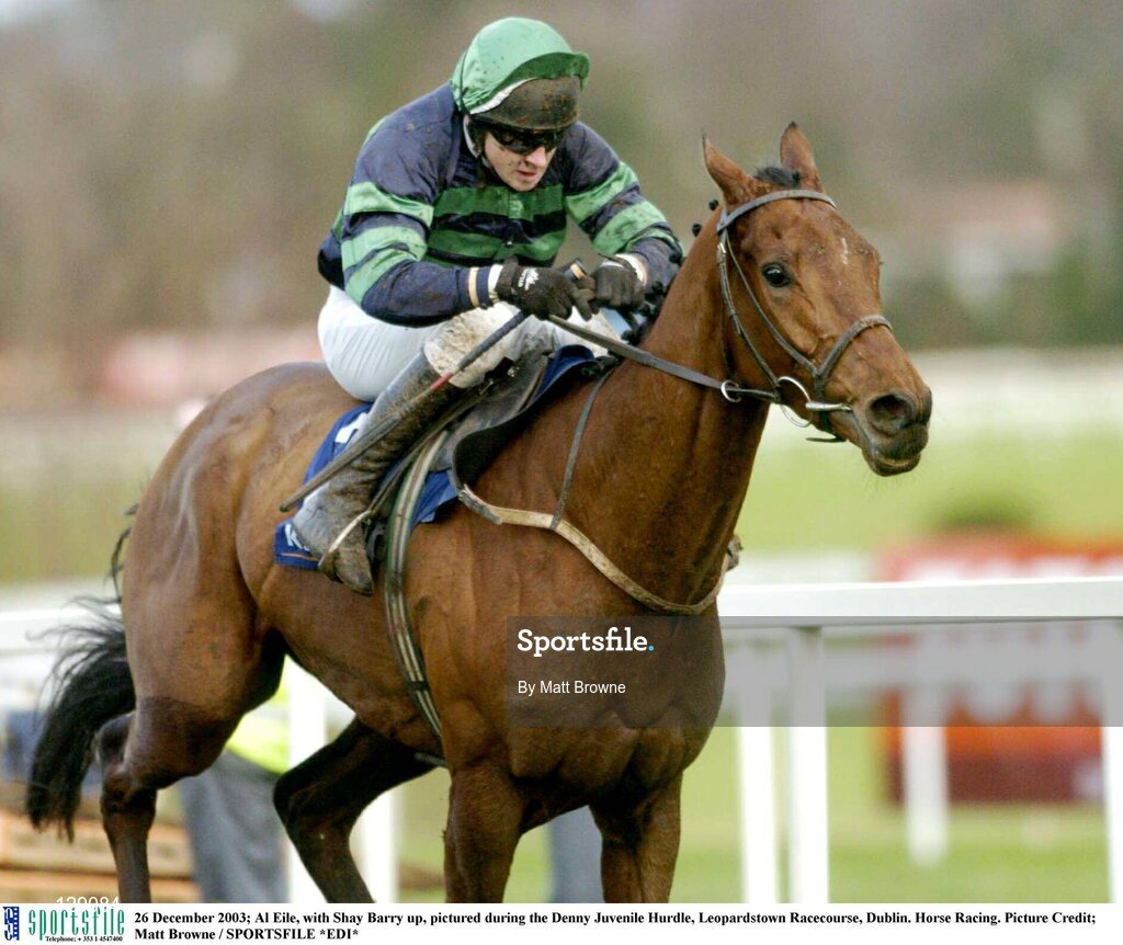 26 December 2003; Al Eile, with Shay Barry up, pictured during the Denny Juvenile Hurdle, Leopardstown Racecourse, Dublin. Horse Racing. Picture Credit; Matt Browne / SPORTSFILE *EDI*