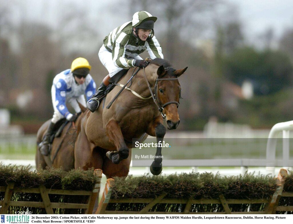 26 December 2003; Cotton Picker, with Colin Motherway up, jumps the last during the Denny WAIFOS Maiden Hurdle, Leopardstown Racecourse, Dublin. Horse Racing. Picture Credit; Matt Browne / SPORTSFILE *EDI*