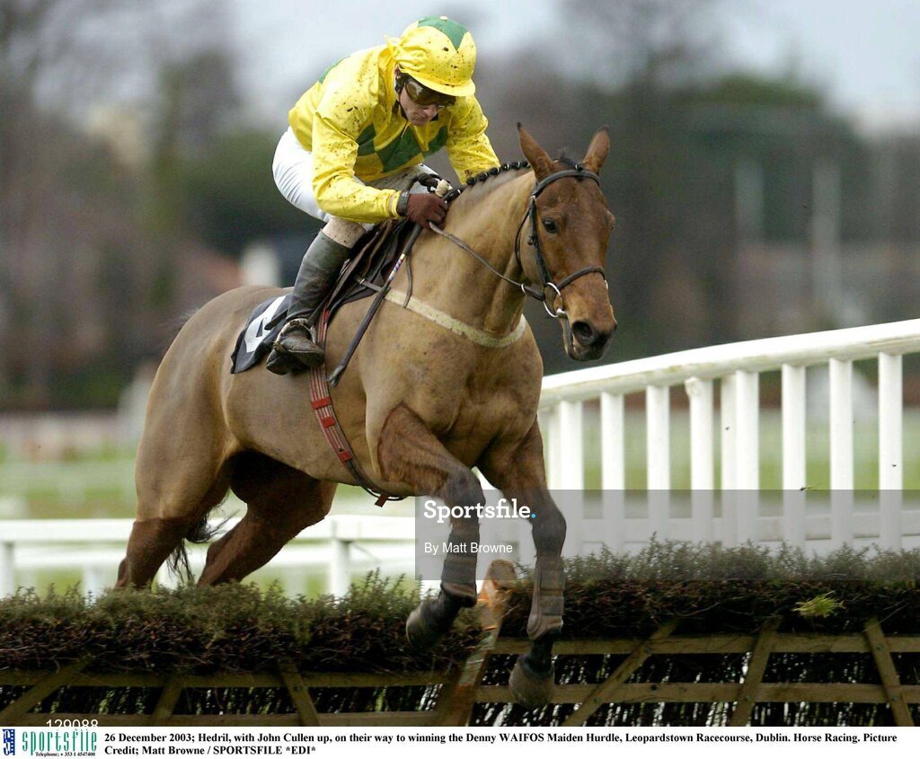 26 December 2003; Hedril, with John Cullen up, on their way to winning the Denny WAIFOS Maiden Hurdle, Leopardstown Racecourse, Dublin. Horse Racing. Picture Credit; Matt Browne / SPORTSFILE *EDI*