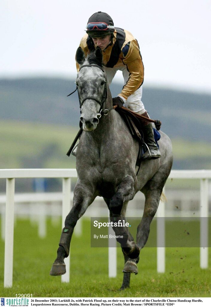 26 December 2003; Larkhill Jo, with Patrick Flood up, on their way to the start of the Charleville Cheese Handicap Hurdle, Leopardstown Racecourse, Dublin. Horse Racing. Picture Credit; Matt Browne / SPORTSFILE *EDI*