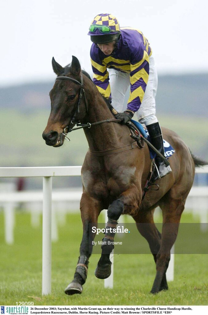 26 December 2003; Saywhat, with Martin Grant up, on their way to winning the Charleville Cheese Handicap Hurdle, Leopardstown Racecourse, Dublin. Horse Racing. Picture Credit; Matt Browne / SPORTSFILE *EDI*