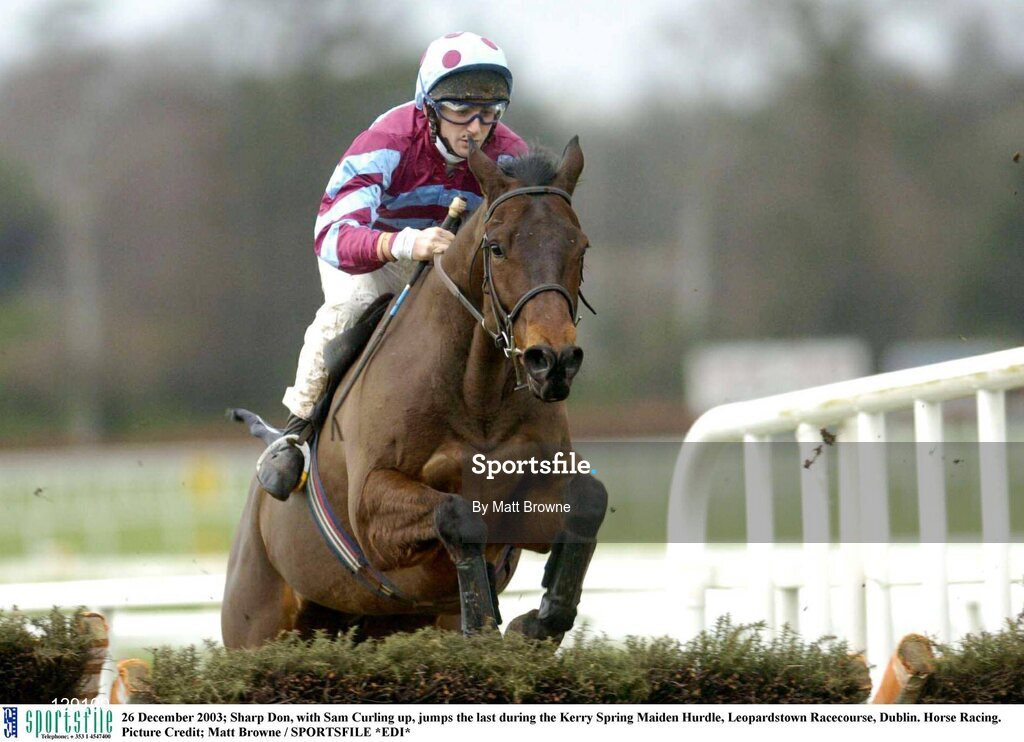 26 December 2003; Sharp Don, with Sam Curling up, jumps the last during the Kerry Spring Maiden Hurdle, Leopardstown Racecourse, Dublin. Horse Racing. Picture Credit; Matt Browne / SPORTSFILE *EDI*