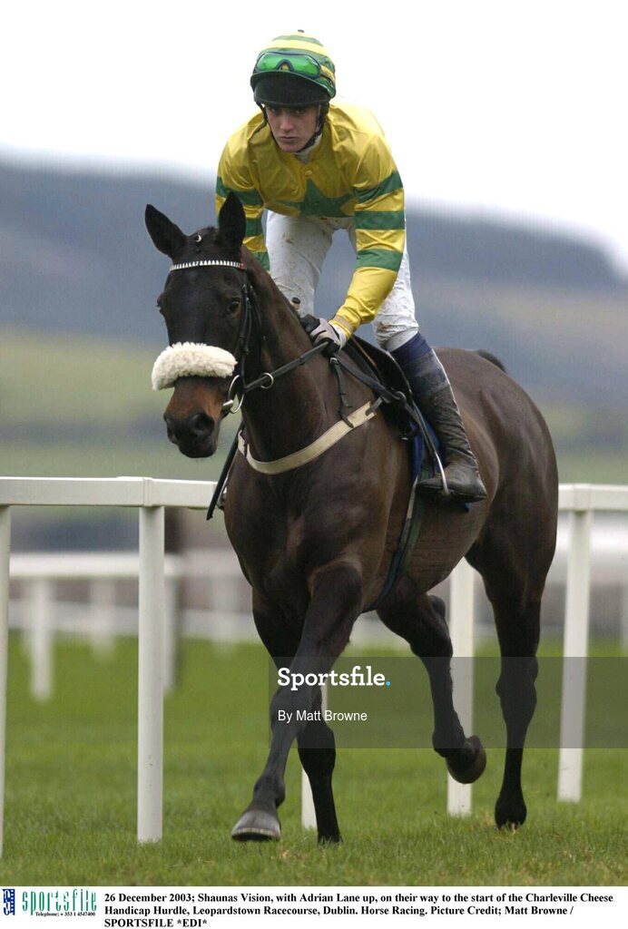 26 December 2003; Shaunas Vision, with Adrian Lane up, on their way to the start of the Charleville Cheese Handicap Hurdle, Leopardstown Racecourse, Dublin. Horse Racing. Picture Credit; Matt Browne / SPORTSFILE *EDI*
