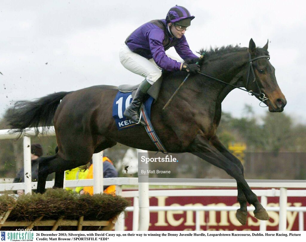 26 December 2003; Silvergino, with David Casey up, on their way to winning the Denny Juvenile Hurdle, Leopardstown Racecourse, Dublin. Horse Racing. Picture Credit; Matt Browne / SPORTSFILE *EDI*