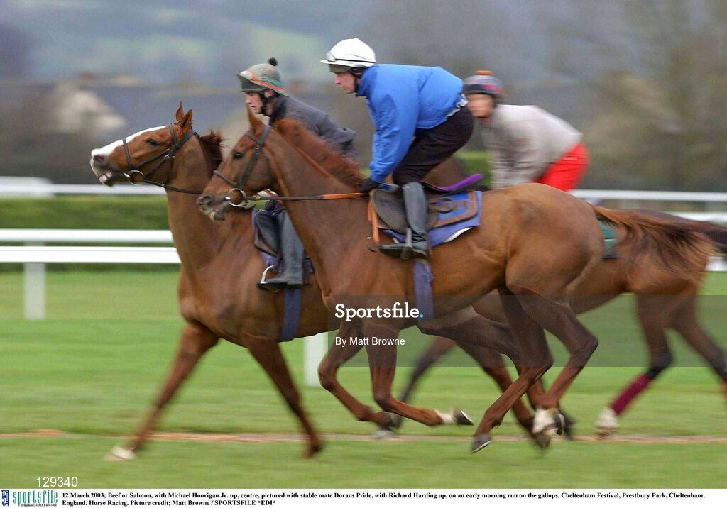 12 March 2003; Beef or Salmon, with Michael Hourigan Jr. up, centre, pictured with stable mate Dorans Pride, with Richard Harding up, on an early morning run on the gallops. Cheltenham Festival, Prestbury Park, Cheltenham, England. Horse Racing. Picture credit; Matt Browne / SPORTSFILE *EDI*