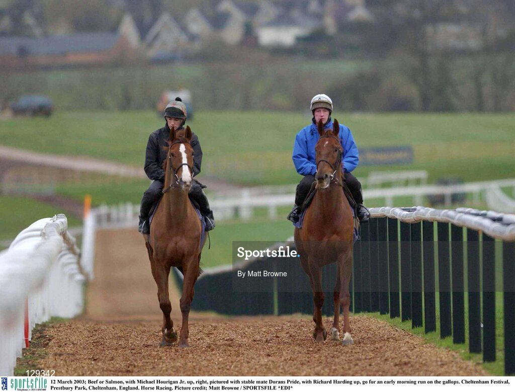 12 March 2003; Beef or Salmon, with Michael Hourigan Jr. up, right, pictured with stable mate Dorans Pride, with Richard Harding up, go for an early morning run on the gallops. Cheltenham Festival, Prestbury Park, Cheltenham, England. Horse Racing. Picture credit; Matt Browne / SPORTSFILE *EDI*