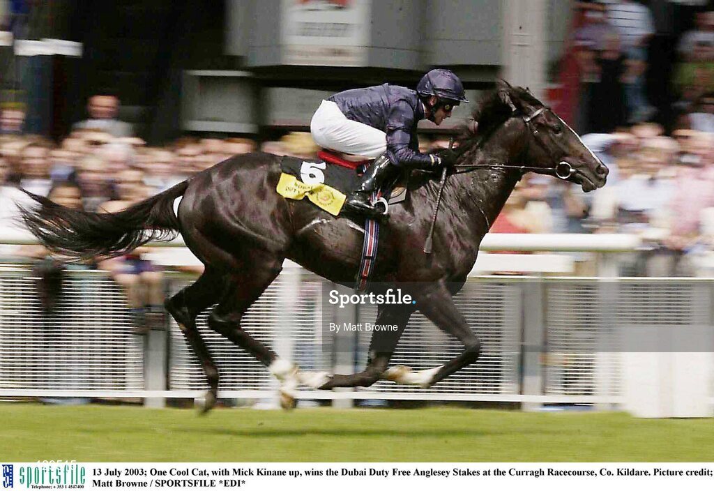 13 July 2003; One Cool Cat, with Mick Kinane up, wins the Dubai Duty Free Anglesey Stakes at the Curragh Racecourse, Co. Kildare. Picture credit; Matt Browne / SPORTSFILE *EDI*