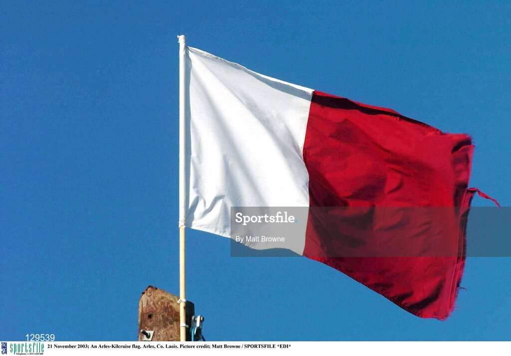21 November 2003; An Arles-Kilcruise flag. Arles, Co. Laois. Picture credit; Matt Browne / SPORTSFILE *EDI*