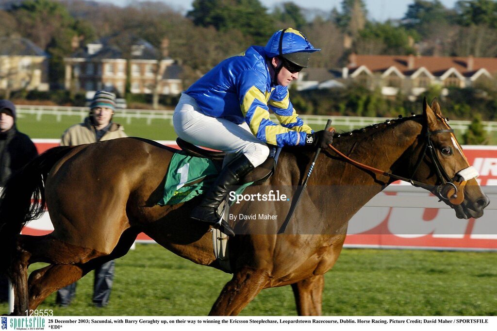 28 December 2003; Sacundai, with Barry Geraghty up, on their way to winning the Ericsson Steeplechase, Leopardstown Racecourse, Dublin. Horse Racing. Picture Credit; David Maher / SPORTSFILE *EDI*