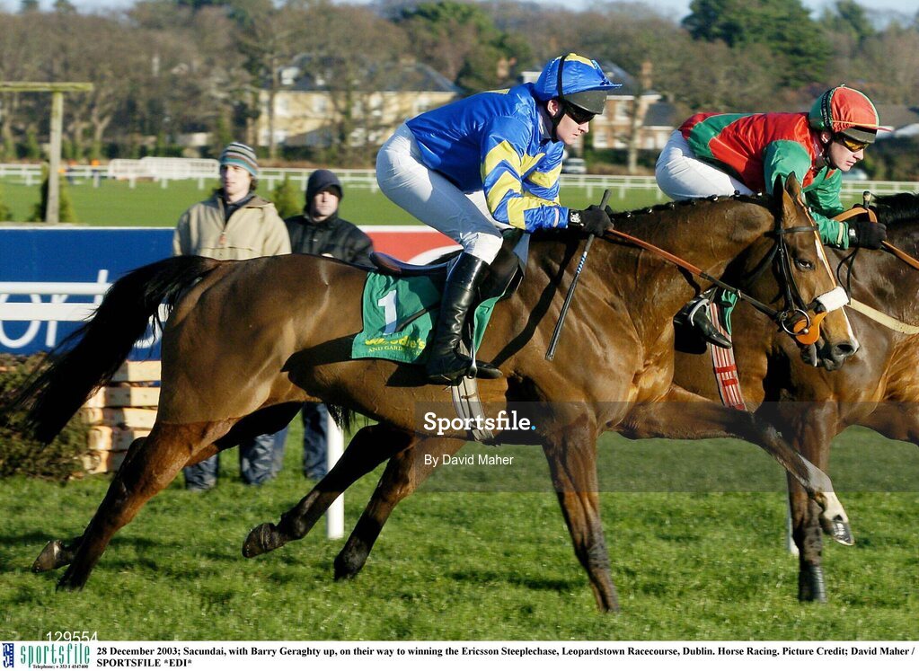 28 December 2003; Sacundai, with Barry Geraghty up, on their way to winning the Ericsson Steeplechase, Leopardstown Racecourse, Dublin. Horse Racing. Picture Credit; David Maher / SPORTSFILE *EDI*