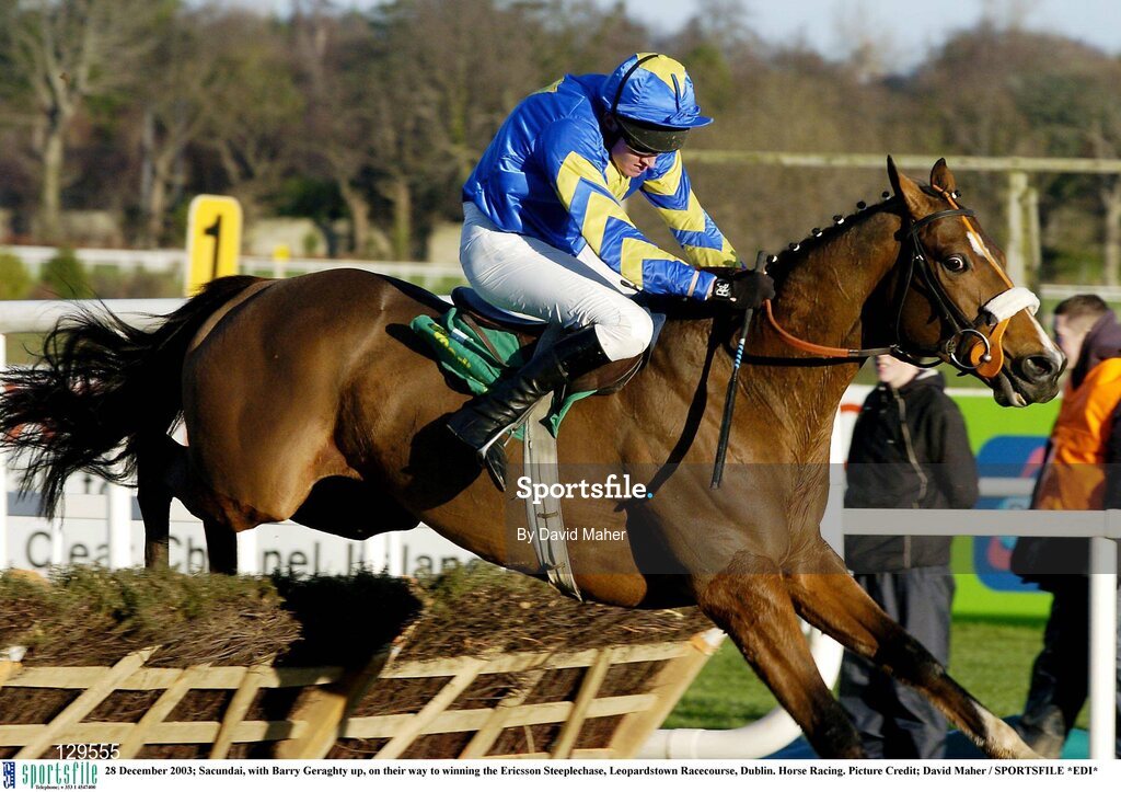 28 December 2003; Sacundai, with Barry Geraghty up, on their way to winning the Ericsson Steeplechase, Leopardstown Racecourse, Dublin. Horse Racing. Picture Credit; David Maher / SPORTSFILE *EDI*