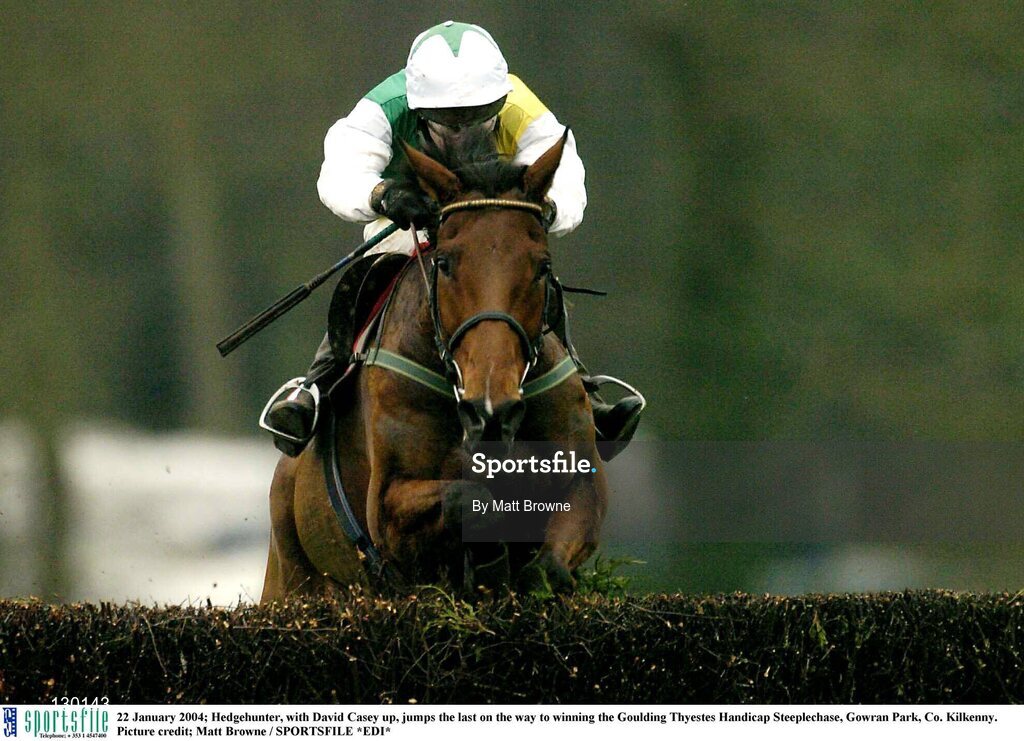 22 January 2004; Hedgehunter, with David Casey up, jumps the last on the way to winning the Goulding Thyestes Handicap Steeplechase, Gowran Park, Co. Kilkenny. Picture credit; Matt Browne / SPORTSFILE *EDI*
