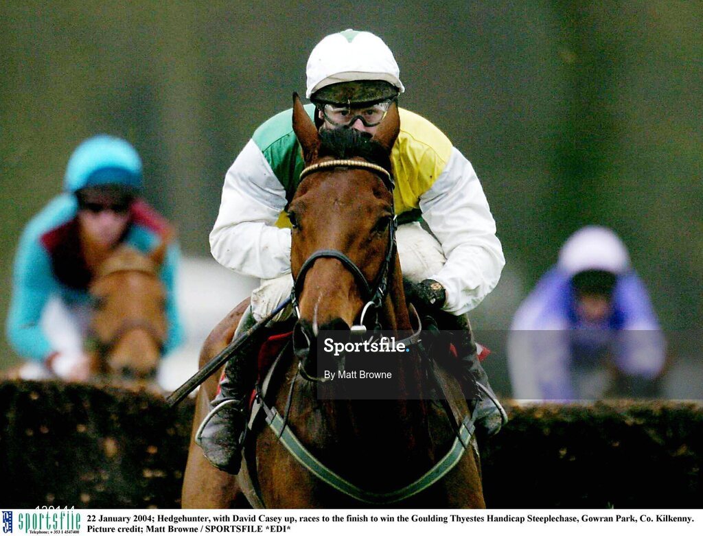 22 January 2004; Hedgehunter, with David Casey up, races to the finish to win the Goulding Thyestes Handicap Steeplechase, Gowran Park, Co. Kilkenny. Picture credit; Matt Browne / SPORTSFILE *EDI*