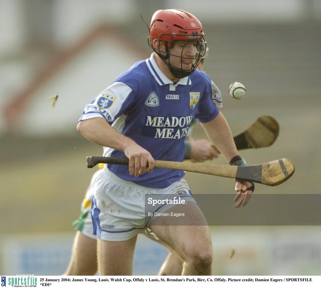 25 January 2004; James Young, Laois. Walsh Cup, Offaly v Laois, St. Brendan's Park, Birr, Co. Offaly. Picture credit; Damien Eagers / SPORTSFILE *EDI*