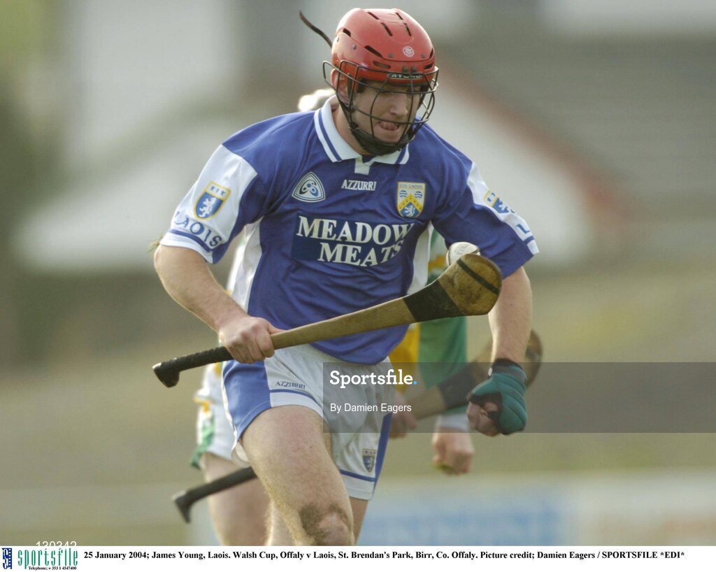 25 January 2004; James Young, Laois. Walsh Cup, Offaly v Laois, St. Brendan's Park, Birr, Co. Offaly. Picture credit; Damien Eagers / SPORTSFILE *EDI*