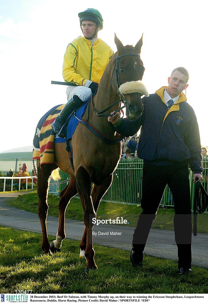 28 December 2003; Beef Or Salmon, with Timmy Murphy up, on their way to winning the Ericsson Steeplechase, Leopardstown Racecourse, Dublin. Horse Racing. Picture Credit; David Maher / SPORTSFILE *EDI*