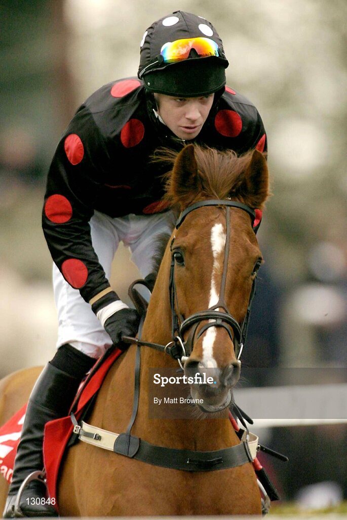 22 January 2004; Eagles High, with Martin Mooney up, on their way to winning the Aer Rianta Cork Airport Handicap Hurdle, Gowran Park, Co. Kilkenny. Picture credit; Matt Browne / SPORTSFILE *EDI*