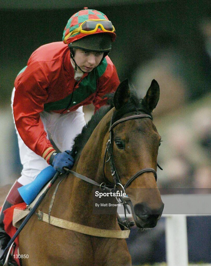 22 January 2004; Watts Hill, with Gary Hutchinson up, on their way to winning the Aer Rianta Cork Airport Handicap Hurdle, Gowran Park, Co. Kilkenny. Picture credit; Matt Browne / SPORTSFILE *EDI*