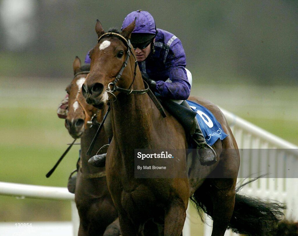 22 January 2004; Leonardo De Vinci, with Barry Geraghty up, pictured during the betfair.com Maiden Hurdle, Gowran Park, Co. Kilkenny. Picture credit; Matt Browne / SPORTSFILE *EDI*