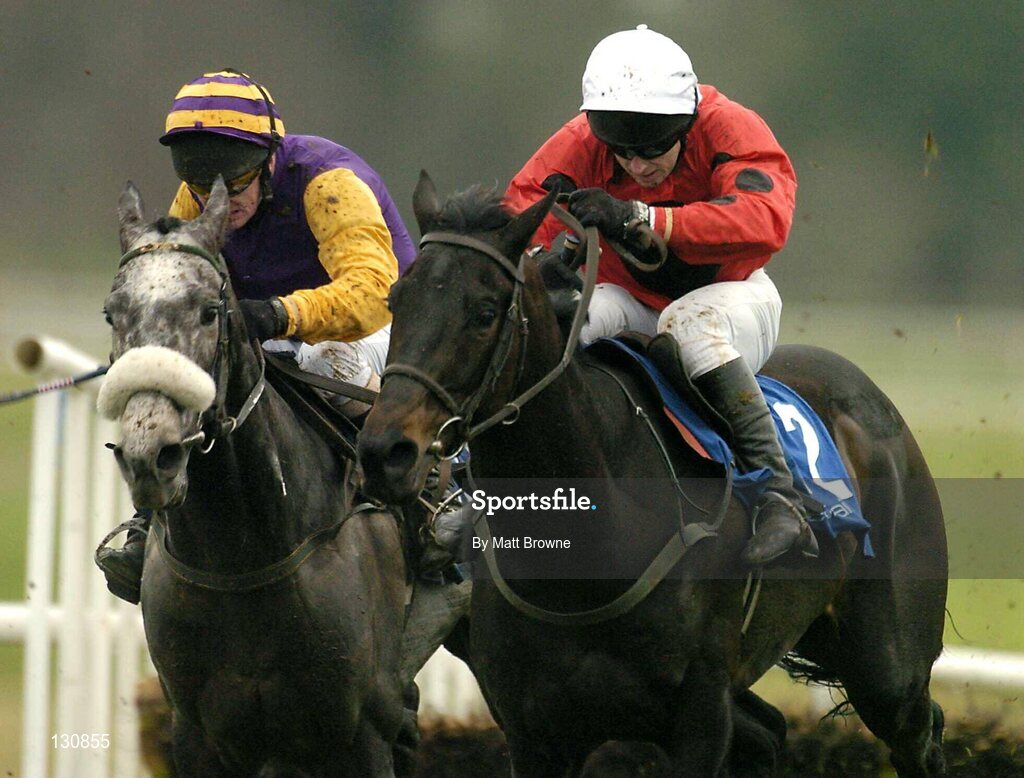 22 January 2004; Quel Doun, with Shay Barry up, pictured during the betfair.com Maiden Hurdle, Gowran Park, Co. Kilkenny. Picture credit; Matt Browne / SPORTSFILE *EDI*