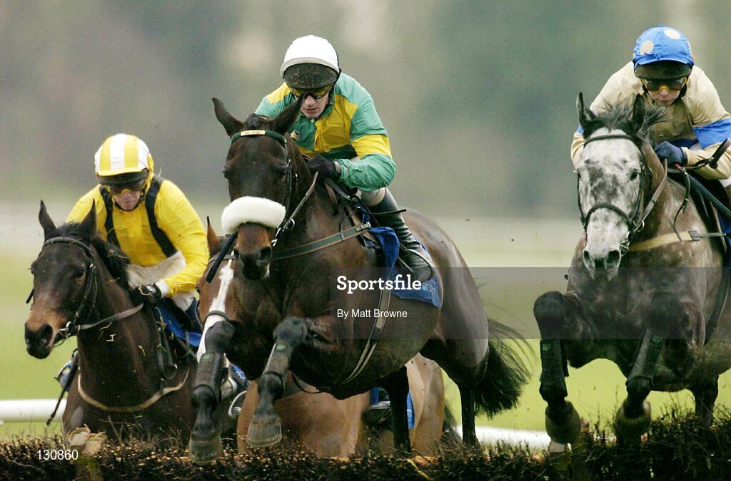 22 January 2004; Rosaker, with Paul Carberry up, centre, on their way to winning the Goulding Thyestes Handicap Steeplechase, Gowran Park, Co. Kilkenny. Picture credit; Matt Browne / SPORTSFILE *EDI*