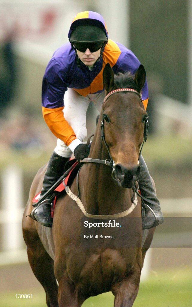 22 January 2004; Satco Express, with Shay Berry up, on their way to the start of the Goulding Thyestes Handicap Steeplechase, Gowran Park, Co. Kilkenny. Picture credit; Matt Browne / SPORTSFILE *EDI*