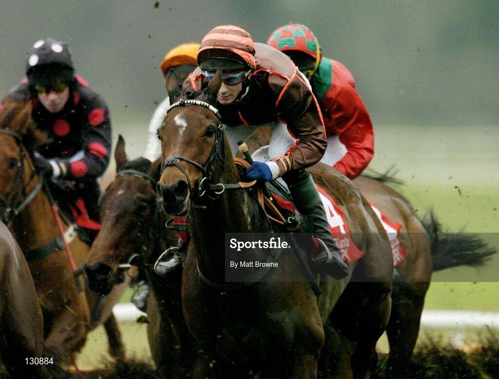 22 January 2004; Tara Hall, with Alan Donoghue up, during the Aer Rianta Cork Airport Handicap Hurdle, Gowran Park, Co. Kilkenny. Picture credit; Matt Browne / SPORTSFILE *EDI*