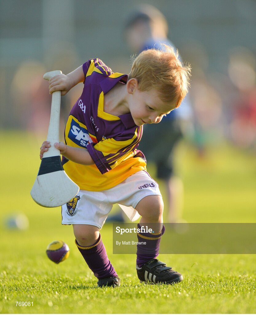 10 July 2013; Three year old Wexford supporter James Franklin Murphy, from Ramsgrange, Co. Wexford, on the pitch at half time.. Bord Gáis Energy Leinster GAA Hurling Under 21 Championship Final, Kilkenny v Wexford, Wexford Park, Wexford. Picture credit: Matt Browne / SPORTSFILE