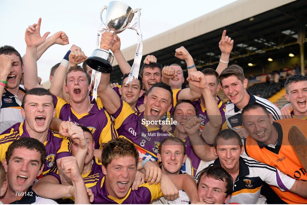 10 July 2013; The Wexford team celebrate as captain Lee Chin lifts the Robbins Cup. Bord Gáis Energy Leinster GAA Hurling Under 21 Championship Final, Kilkenny v Wexford, Wexford Park, Wexford. Picture credit: Matt Browne / SPORTSFILE