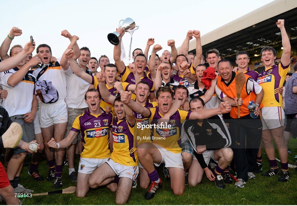 10 July 2013; The Wexford team celebrate as captain Lee Chin lifts the Robbins Cup. Bord Gáis Energy Leinster GAA Hurling Under 21 Championship Final, Kilkenny v Wexford, Wexford Park, Wexford. Picture credit: Matt Browne / SPORTSFILE