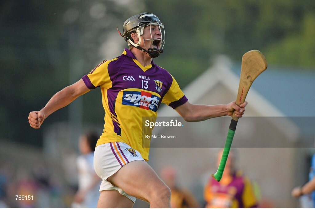 10 July 2013; Wexford's Conor McDonald celebrates after the final whistle. Bord Gáis Energy Leinster GAA Hurling Under 21 Championship Final, Kilkenny v Wexford, Wexford Park, Wexford. Picture credit: Matt Browne / SPORTSFILE