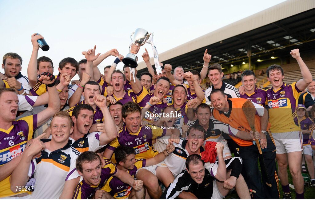 10 July 2013; Wexford captain Lee Chin lifts the Robbins Cup as his team-mates celebrate. Bord Gáis Energy Leinster GAA Hurling Under 21 Championship Final, Kilkenny v Wexford, Wexford Park, Wexford. Picture credit: Matt Browne / SPORTSFILE