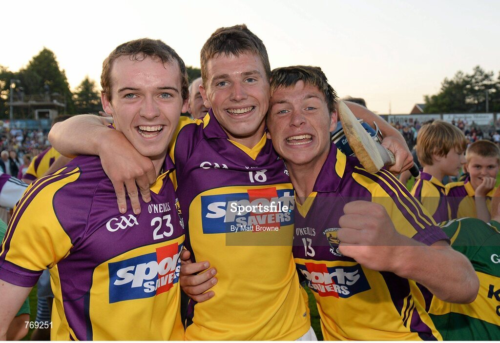 10 July 2013; Wexford's Robert O'Leary, left, Conor O'Leary and Conor McDonald, right, celebrate after the final whistle. Bord Gáis Energy Leinster GAA Hurling Under 21 Championship Final, Kilkenny v Wexford, Wexford Park, Wexford. Picture credit: Matt Browne / SPORTSFILE