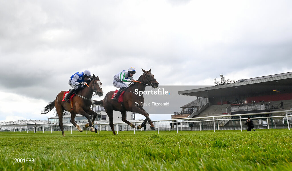 27 April 2021; Cousin Harry, with Patrick Joseph O'Hanlon up, right, race up to the finish line alongside Light Brigade, with Kevin Brouder up, on their way to winning the Have The Conversation Say Yes To Organ Donation Novice Handicap Hurdle during day one of the Punchestown Festival at Punchestown Racecourse in Kildare. Photo by David Fitzgerald/Sportsfile