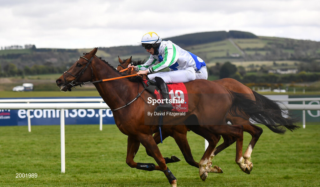 27 April 2021; Cousin Harry, with Patrick Joseph O'Hanlon up, on their way to winning the Have The Conversation Say Yes To Organ Donation Novice Handicap Hurdle during day one of the Punchestown Festival at Punchestown Racecourse in Kildare. Photo by David Fitzgerald/Sportsfile