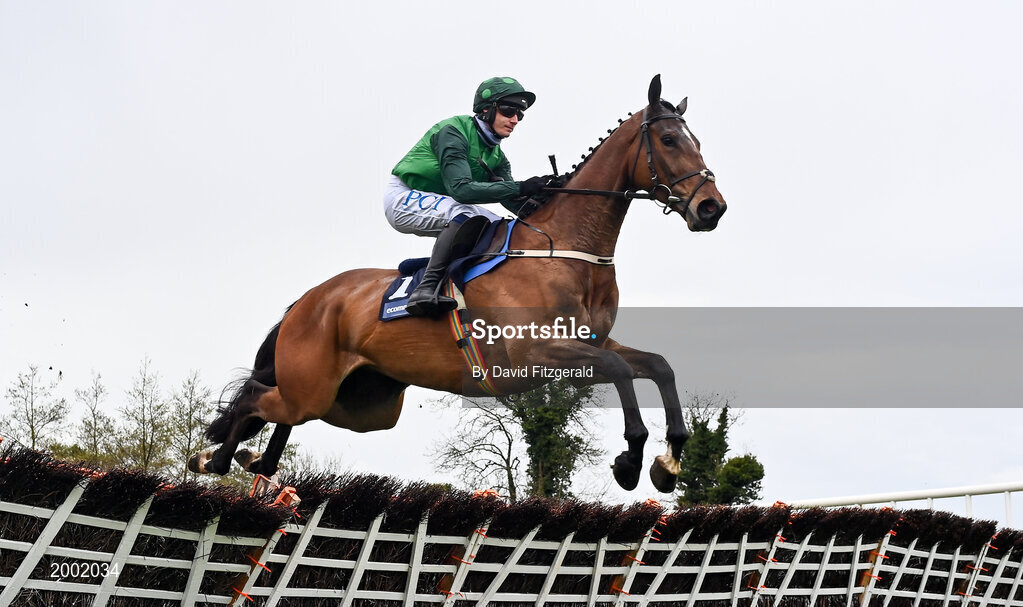 27 April 2021; Blue Lord, with Paul Townend up, clear the last on their way to finishing third the eCOMM Merchant Solutions Champion Novice Hurdle during day one of the Punchestown Festival at Punchestown Racecourse in Kildare. Photo by David Fitzgerald/Sportsfile