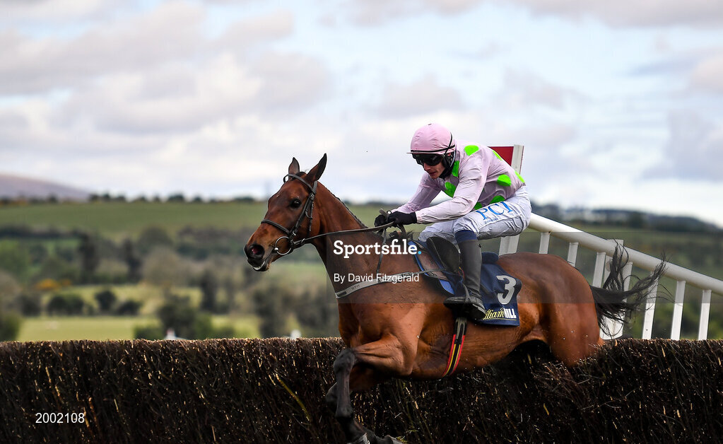 27 April 2021; Chacun Pour Soi, with Paul Townend up, clears the last on their way to winning the William Hill Champion Steeplechase during day one of the Punchestown Festival at Punchestown Racecourse in Kildare. Photo by David Fitzgerald/Sportsfile