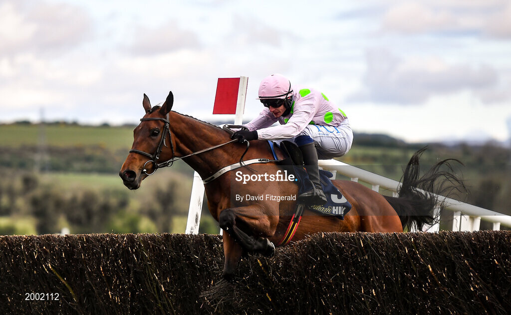 27 April 2021; Chacun Pour Soi, with Paul Townend up, clears the last on their way to winning the William Hill Champion Steeplechase during day one of the Punchestown Festival at Punchestown Racecourse in Kildare. Photo by David Fitzgerald/Sportsfile