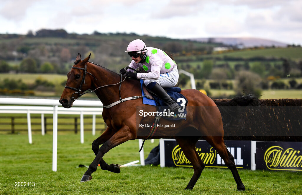 27 April 2021; Chacun Pour Soi, with Paul Townend up, race up the home straight to win the William Hill Champion Steeplechase during day one of the Punchestown Festival at Punchestown Racecourse in Kildare. Photo by David Fitzgerald/Sportsfile
