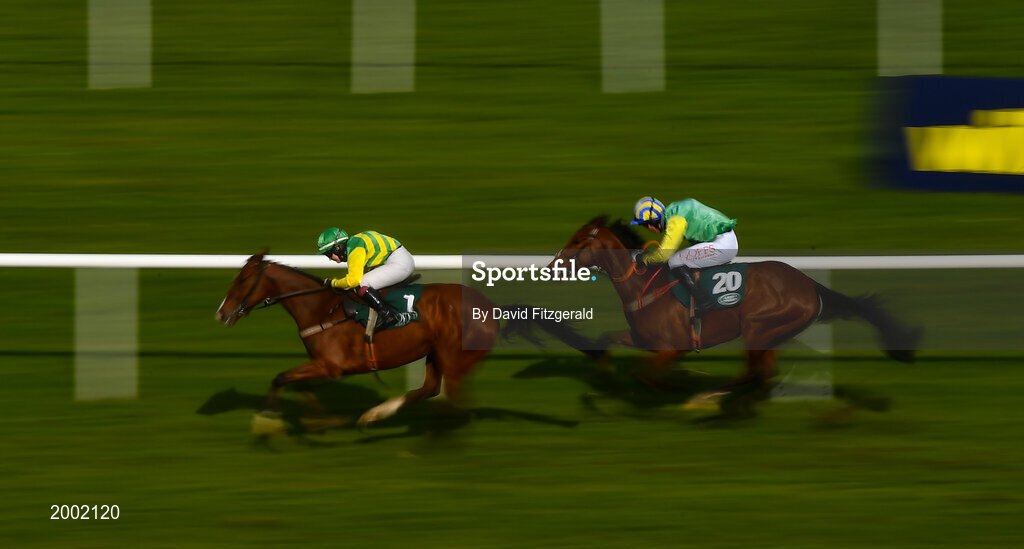 27 April 2021; Adamantly Chosen, with Jody Townend up, race up the home straight ahead of eventual second Springwell Bay, Derek O'Connor up, on their way to winning the Goffs Land Rover Bumper during day one of the Punchestown Festival at Punchestown Racecourse in Kildare. Photo by David Fitzgerald/Sportsfile