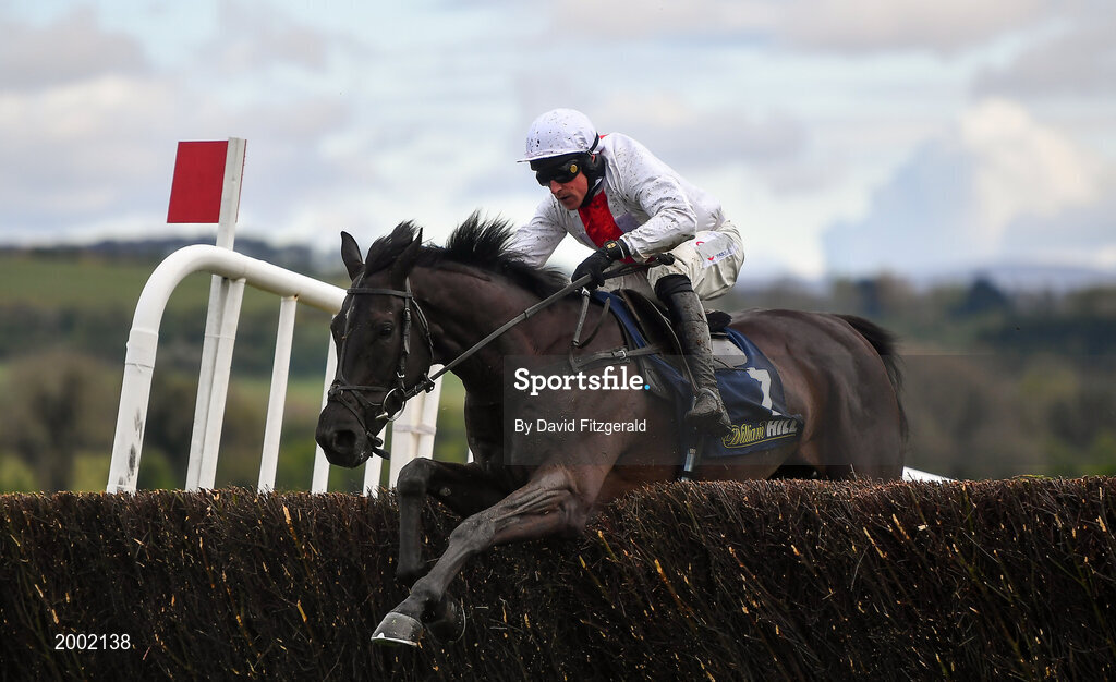 27 April 2021; Nube Negra, with Harry Skelton up, clears the last during the William Hill Champion Steeplechase during day one of the Punchestown Festival at Punchestown Racecourse in Kildare. Photo by David Fitzgerald/Sportsfile
