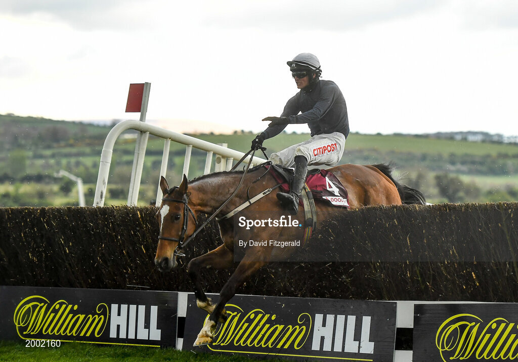 27 April 2021; Colreevy, with Danny Mullins up, jump the last on their way to winning the Dooley Insurance Champion Novice Steeplechase during day one of the Punchestown Festival at Punchestown Racecourse in Kildare. Photo by David Fitzgerald/Sportsfile
