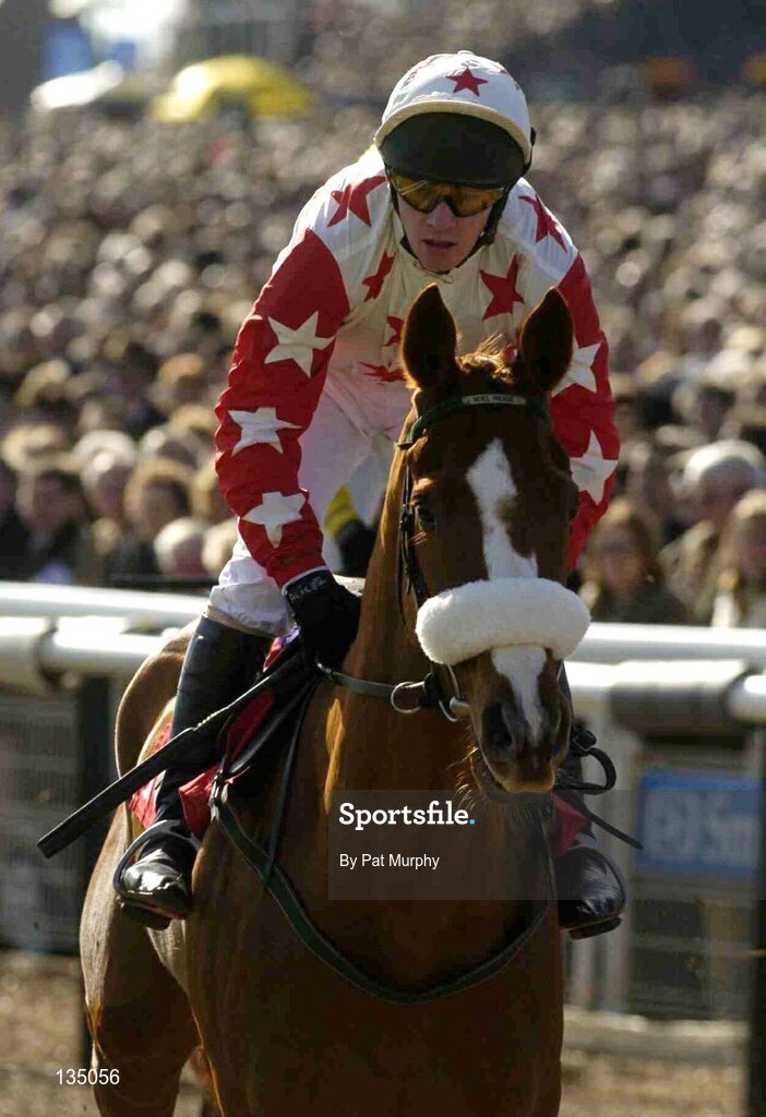 16 March 2004; Zum See, with Paul Carberry up, canters to the start for the The Lethbey & Christopher Supreme Novices' Hurdle, Cheltenham Festival, Prestbury Park, Cheltenham, England. Horse Racing. Picture credit; Pat Murphy / SPORTSFILE *EDI*
