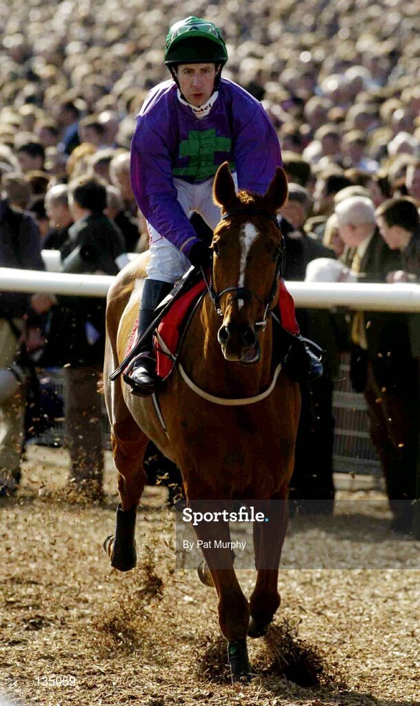 16 March 2004; Dictum, with Jim Culloty up, canters to the start for the The Lethbey & Christopher Supreme Novices' Hurdle, Cheltenham Festival, Prestbury Park, Cheltenham, England. Horse Racing. Picture credit; Pat Murphy / SPORTSFILE *EDI*
